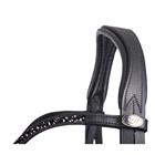 Bridle QHP Chianti Black-Red