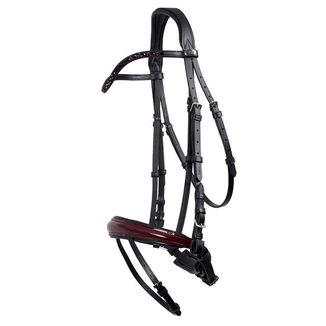Bridle QHP Chianti Black-Red