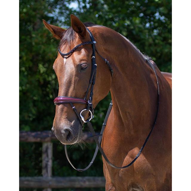 Bridle QHP Chianti Black-Red