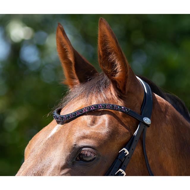 Bridle QHP Chianti Black-Red