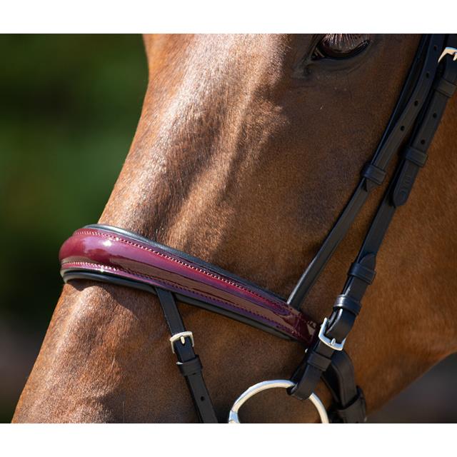 Bridle QHP Chianti Black-Red