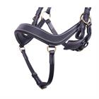 Bridle QHP Devi Black