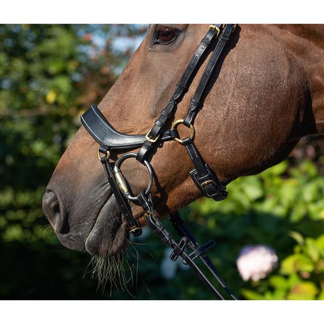 Bridle QHP Devi Black