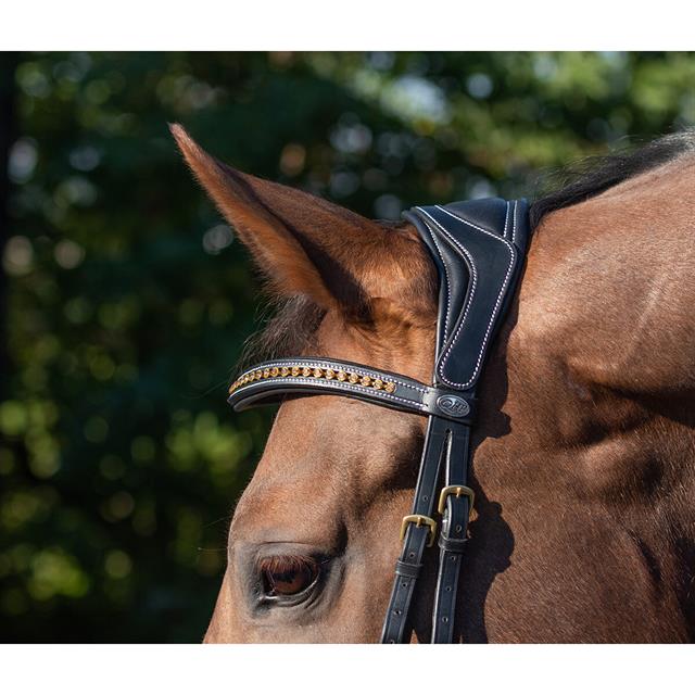 Bridle QHP Devi Black