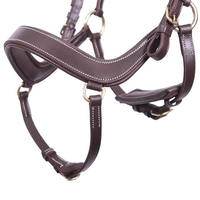 Bridle QHP Devi Brown