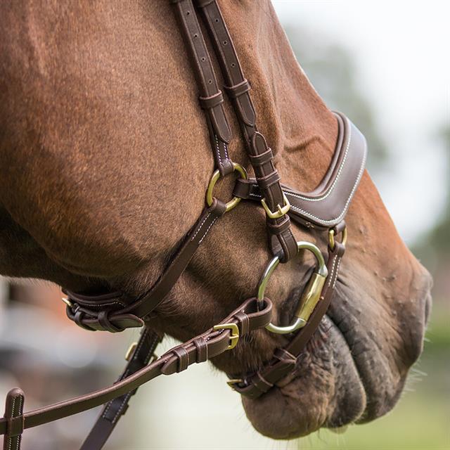 Bridle QHP Devi Brown