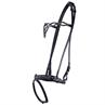 Bridle QHP Icelandic Frosti Black