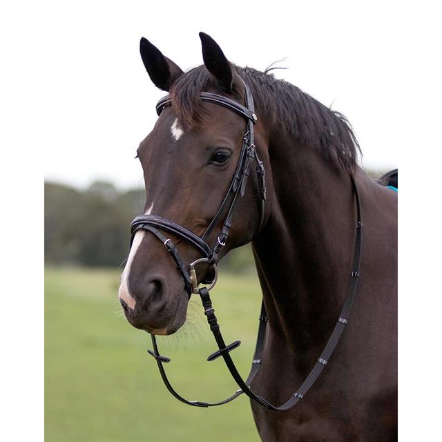 Bridle QHP Luxe Black