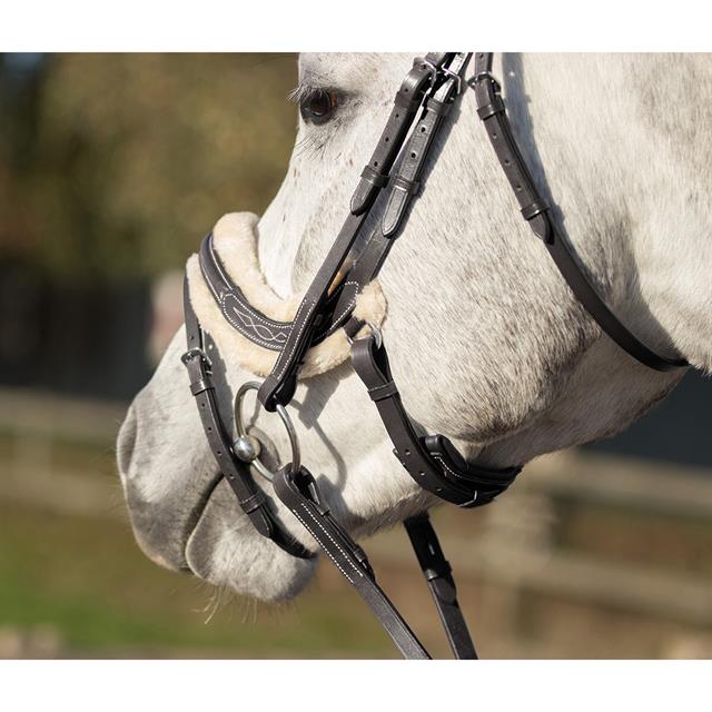 Bridle QHP Ontario Black