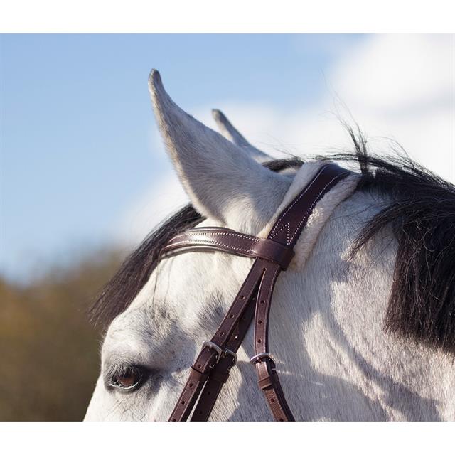 Bridle QHP Ontario Brown