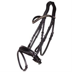 Bridle QHP Orlando