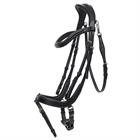 Bridle QHP Salerno Black