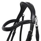 Bridle QHP Salerno Black