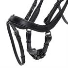 Bridle QHP Salerno Black