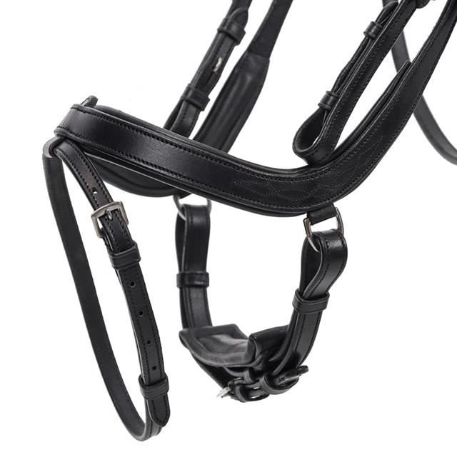 Bridle QHP Salerno Black