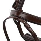 Bridle QHP Salerno Brown