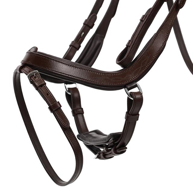 Bridle QHP Salerno Brown