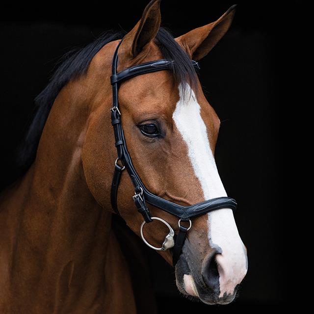 Bridle Rambo Micklem Deluxe Black