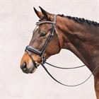 Bridle Schockemöhle Malibu Black-Silver