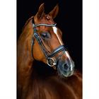 Bridle Schockemöhle Malibu Black-Silver