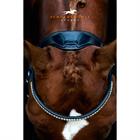 Bridle Schockemöhle Malibu Black-Silver