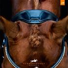 Bridle Schockemöhle Malibu Black-Silver