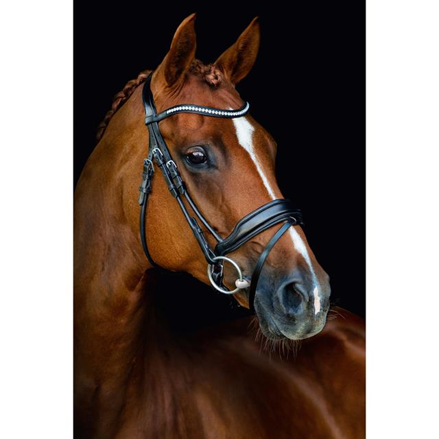 Bridle Schockemöhle Malibu Black-Silver