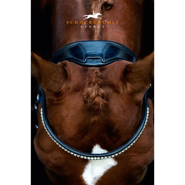 Bridle Schockemöhle Malibu Black-Silver