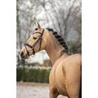 Bridle SKØL SKFärila Black