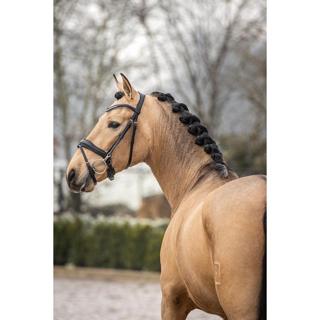 Bridle SKØL SKFärila Black