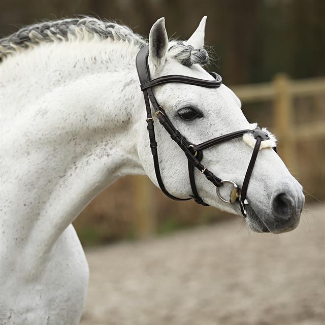 Bridle Skøl Utenfor Dark Brown