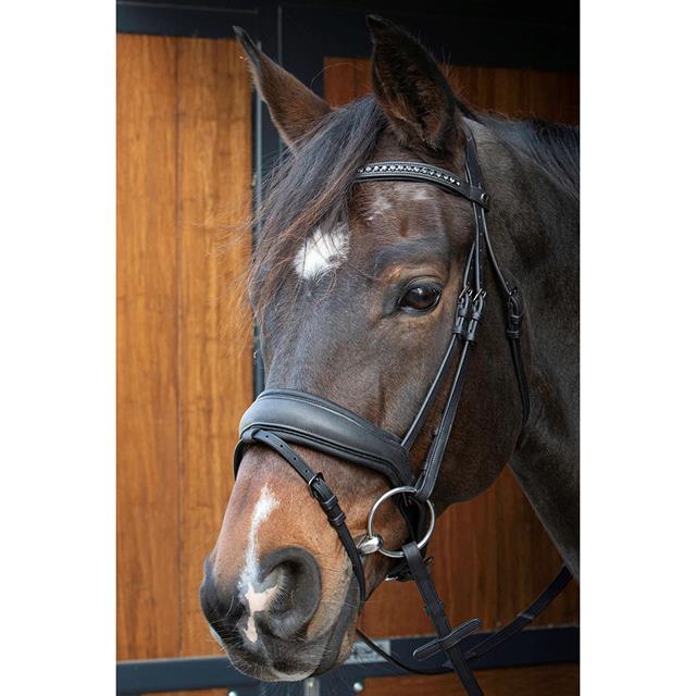 Bridle Soft Leather Black Edition Harry's Horse Black