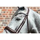 Browband Dy'on Silver Clincher V-Shaped New English Collection Brown