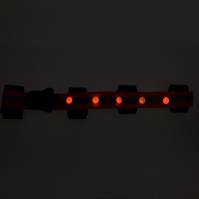 Browband Epplejeck LED Orange