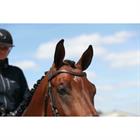 Browband Flat Leather V-Shaped New English Collection Dy'on Brown