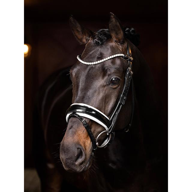 Browband LeMieux Ice Crystal Black