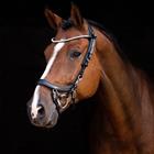 Browband PresTeq ShineBright Black