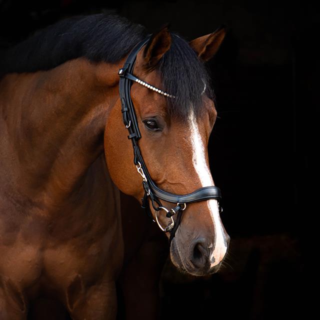 Browband PresTeq ShineBright Black