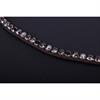 Browband PresTeq ShineBright Brown-Black