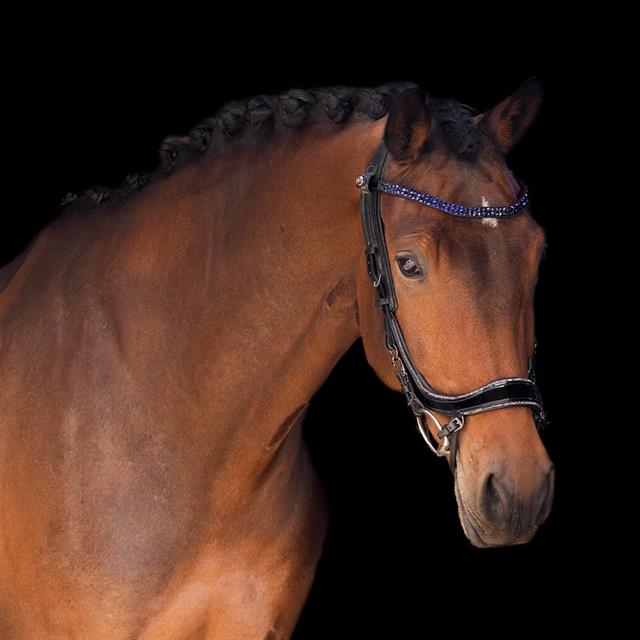 Browband PresTeq StarGlow Brown-Light Blue