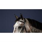 Browband Recht New English Collection Dy'on Black