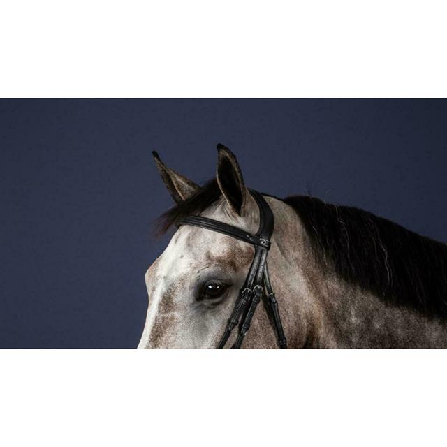 Browband Recht New English Collection Dy'on Black