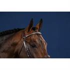 Browband Silver Clincher US Hunter Dy'on Brown