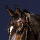 Browband V-Form D Collection Dy'on Brown