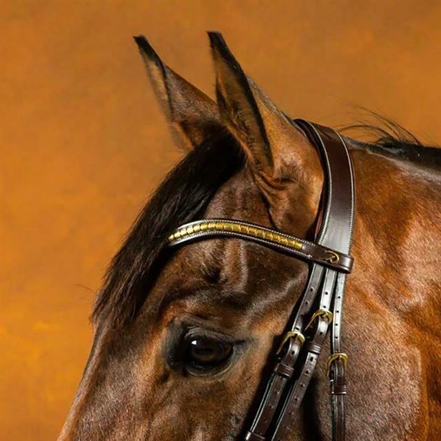 Browband V-Form mit Messingbeschlägen D Collection Dy'on Brown