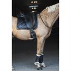Brushing Boots HORSEGEAR HGLevy Black