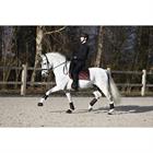 Brushing Boots HORSEGEAR HGLuksus Brown