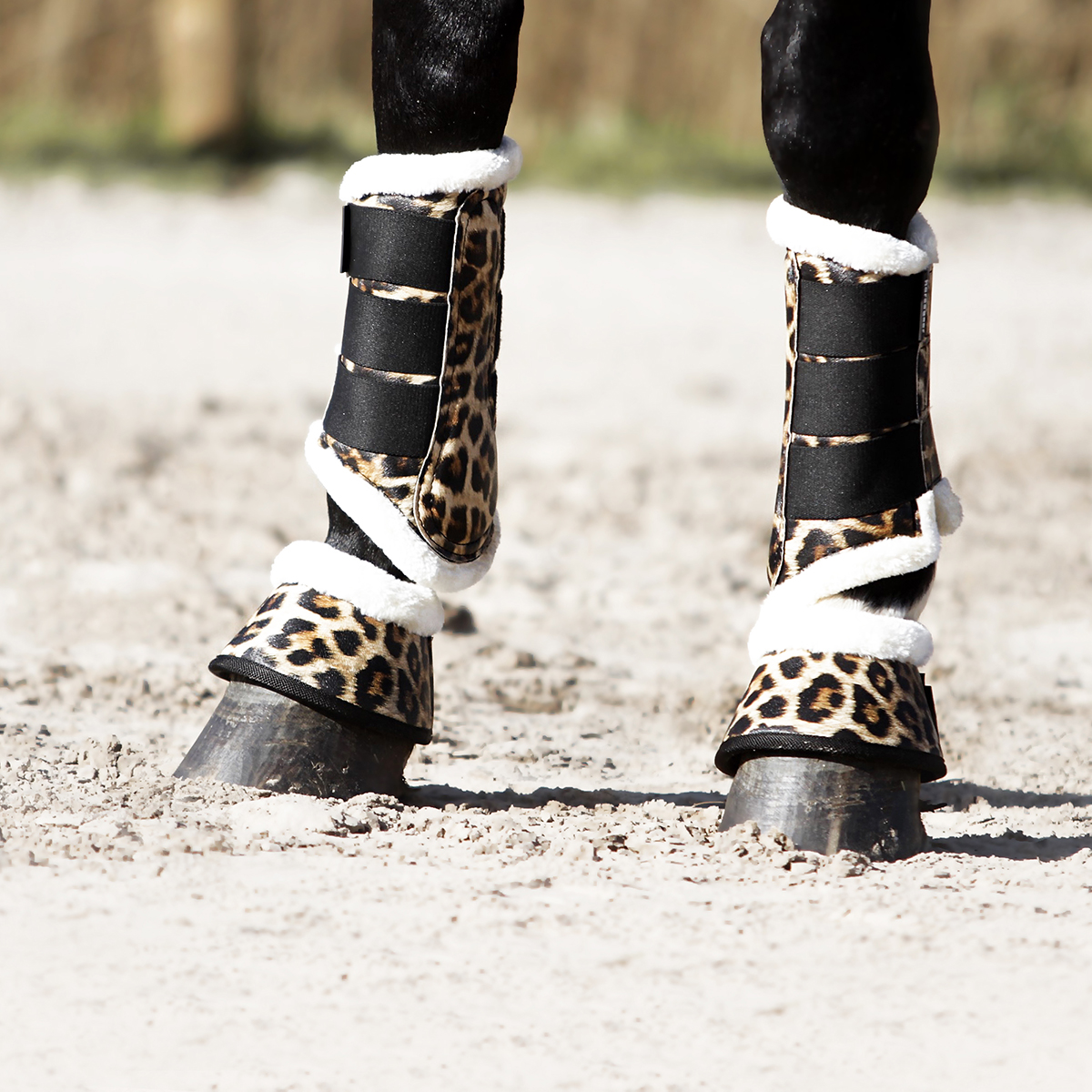 Full-Horse Pony Protection Boots Pony Harlequin Neoprene Brushing Boots Cob 