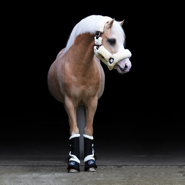 Brushing Boots Horsegear Liam Black