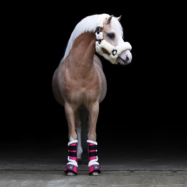 Brushing Boots Horsegear Liam Light Pink